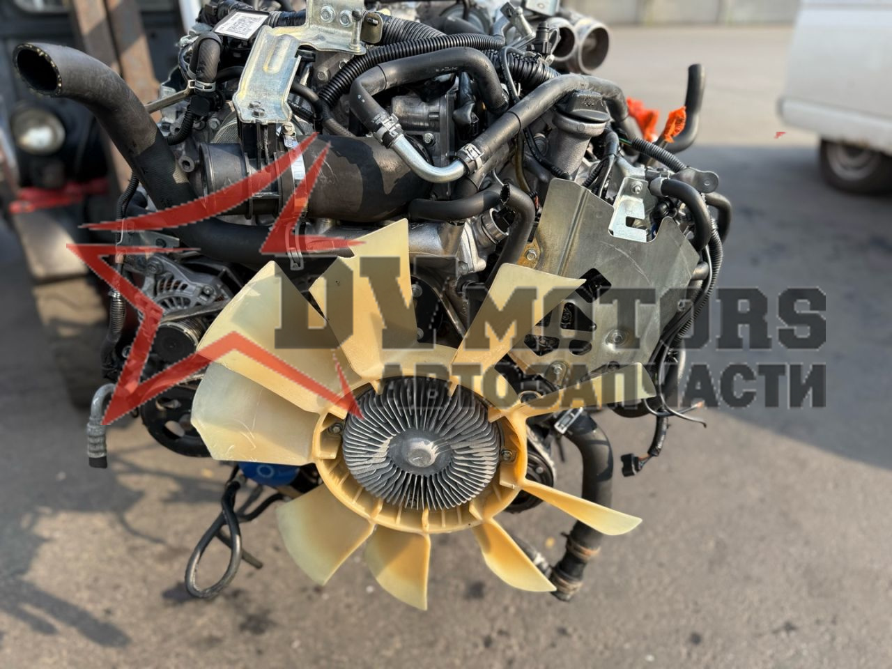 Фото DV Motors 39
