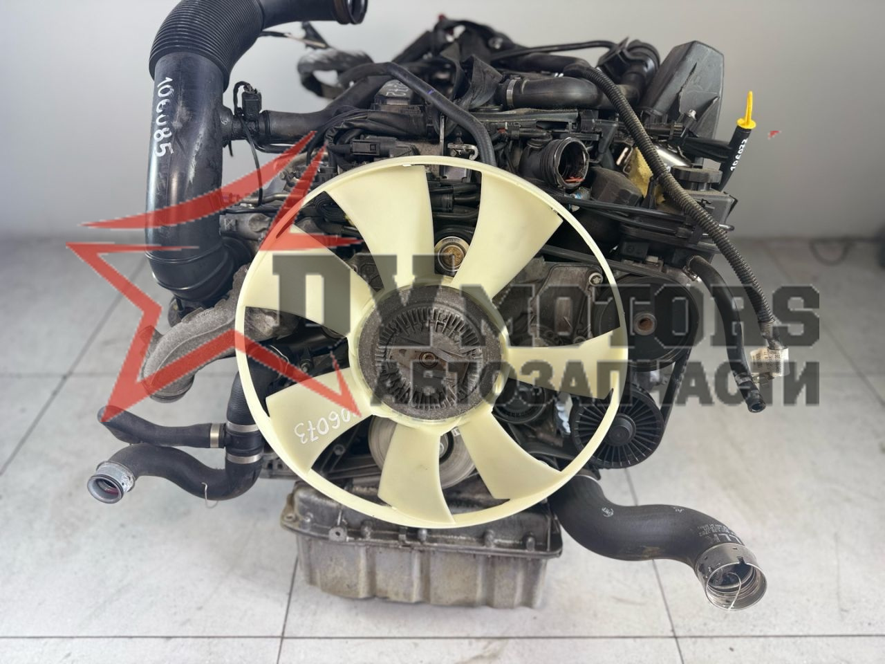 Фото DV Motors 43