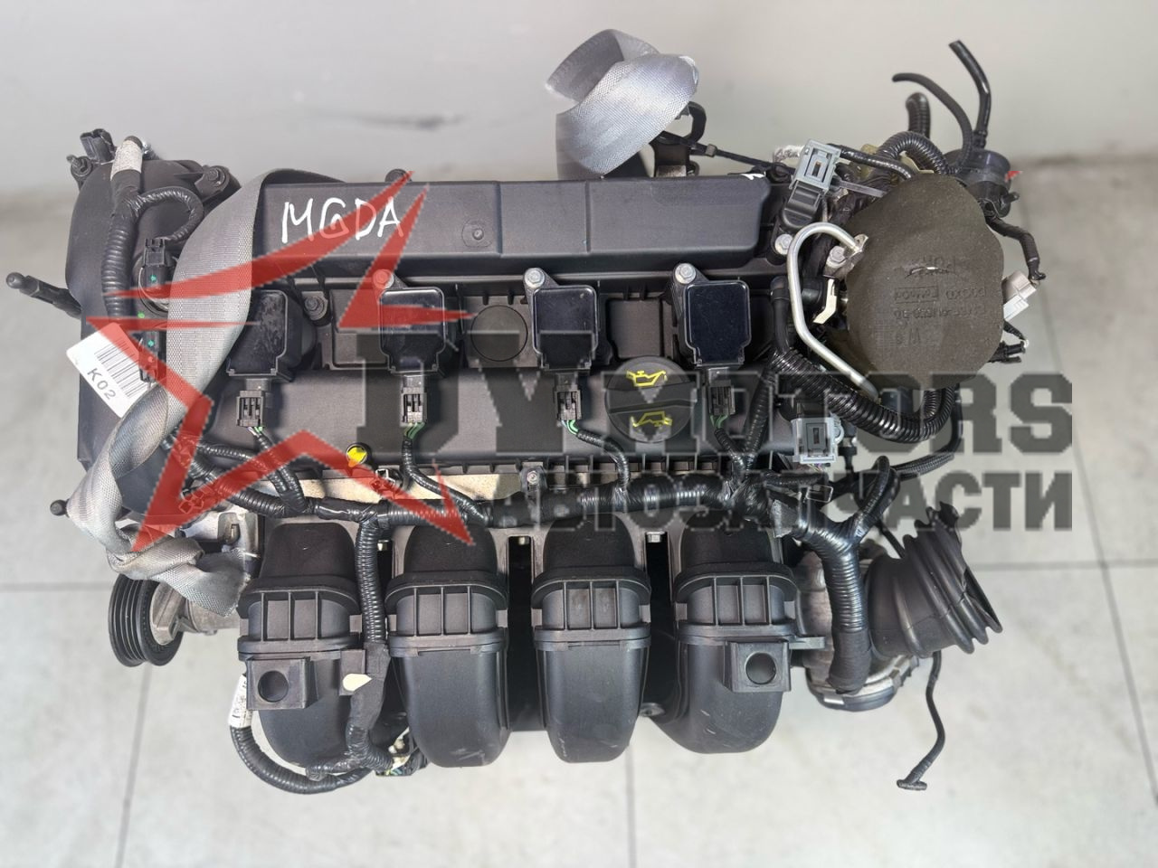 Фото DV Motors 13