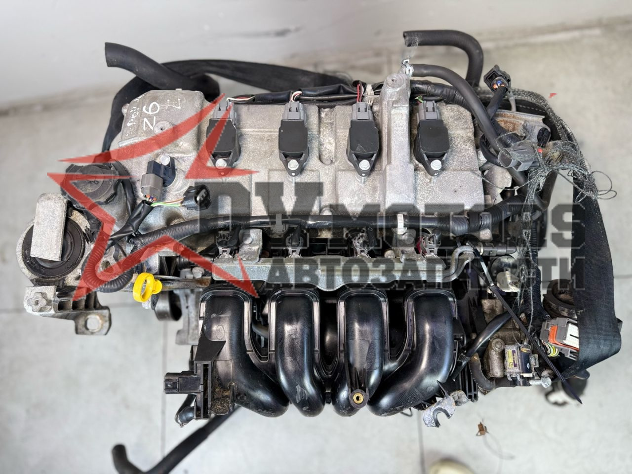Фото DV Motors 45
