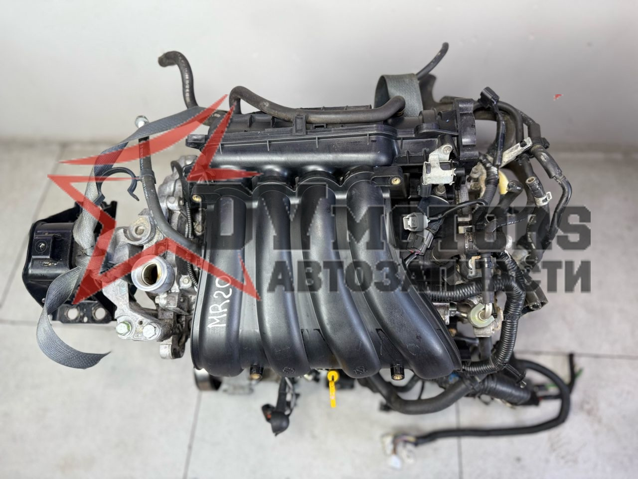 Фото DV Motors 14