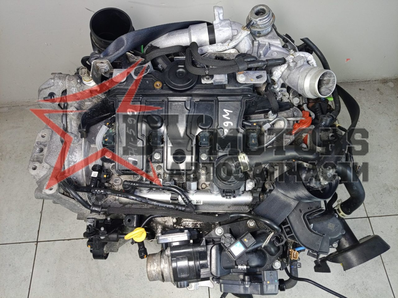 Фото DV Motors 40