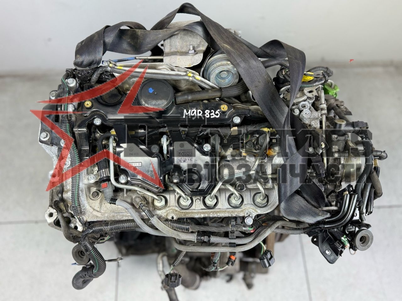 Фото DV Motors 24