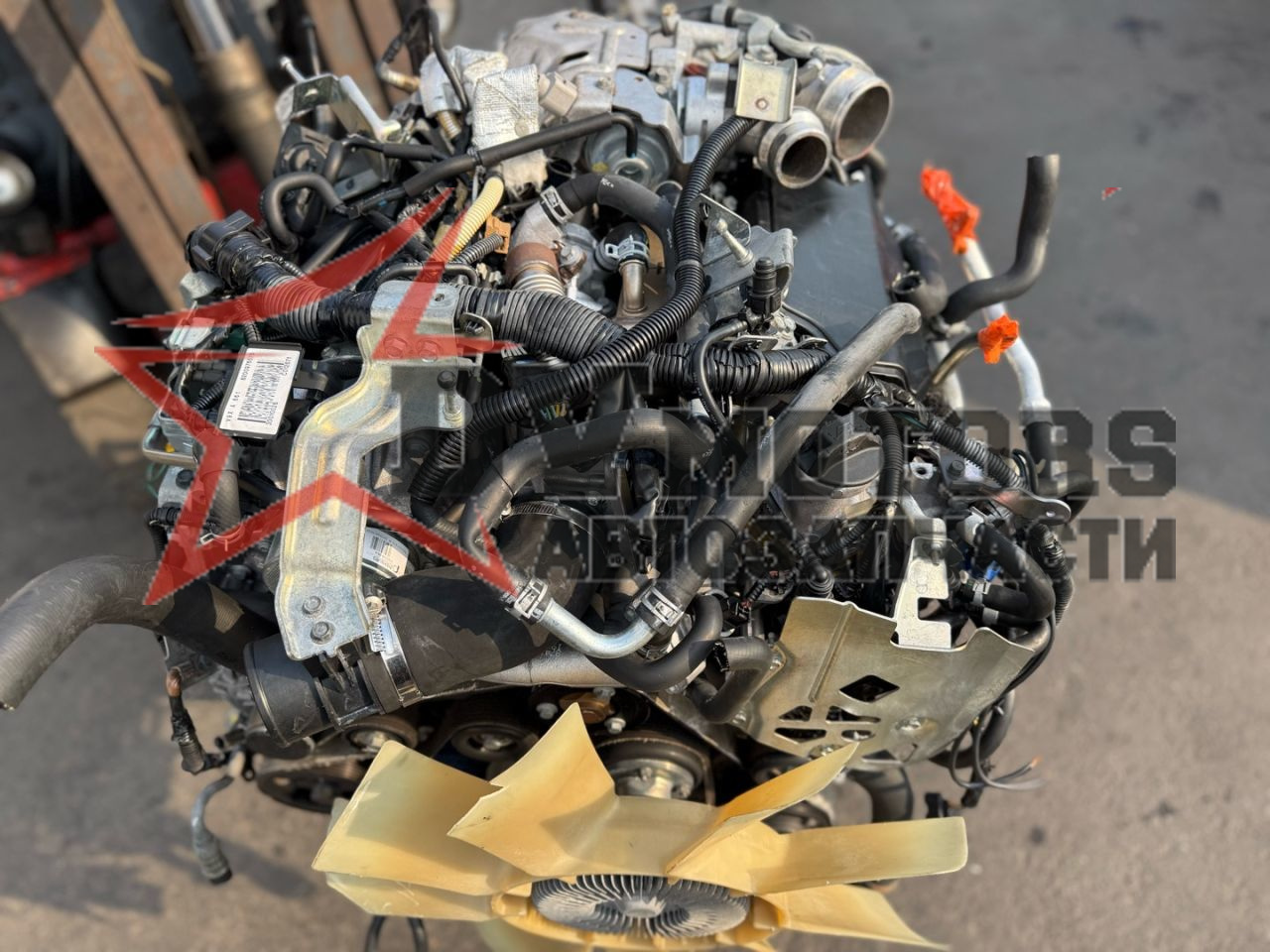 Фото DV Motors 9