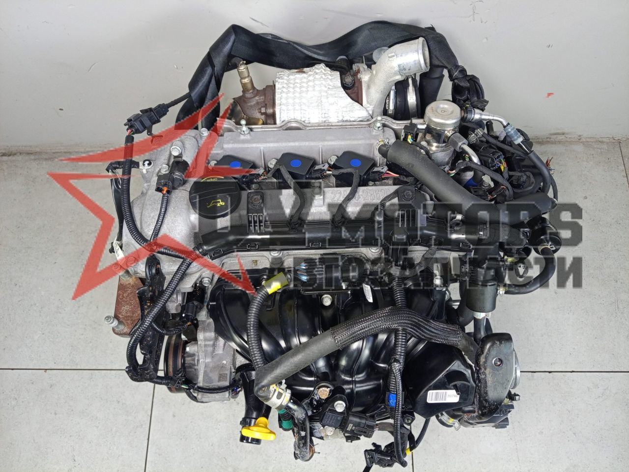 Фото DV Motors 26