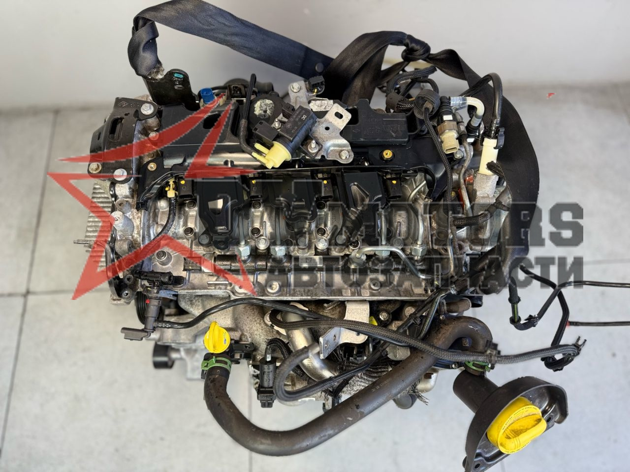 Фото DV Motors 37