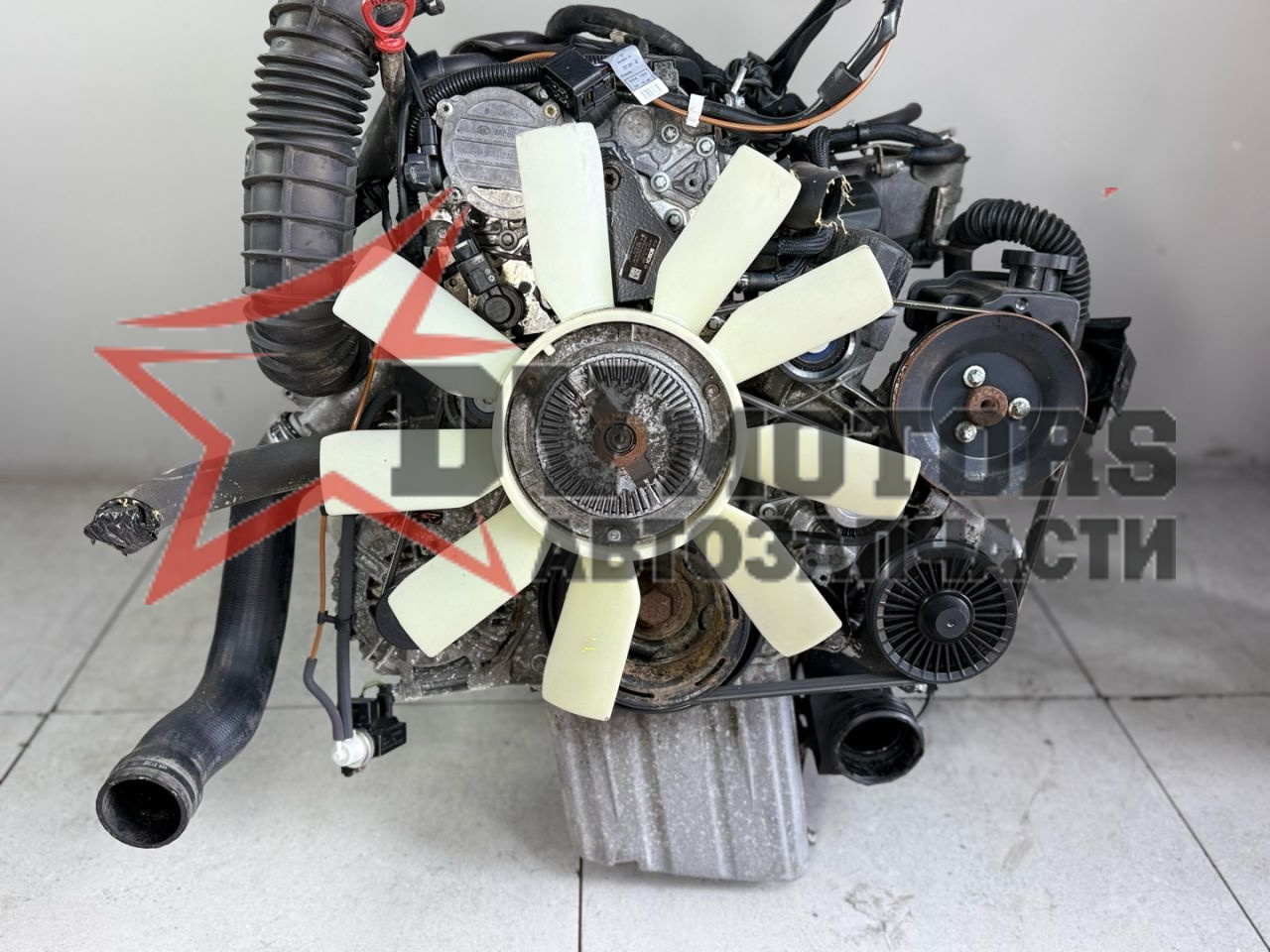 Фото DV Motors 4