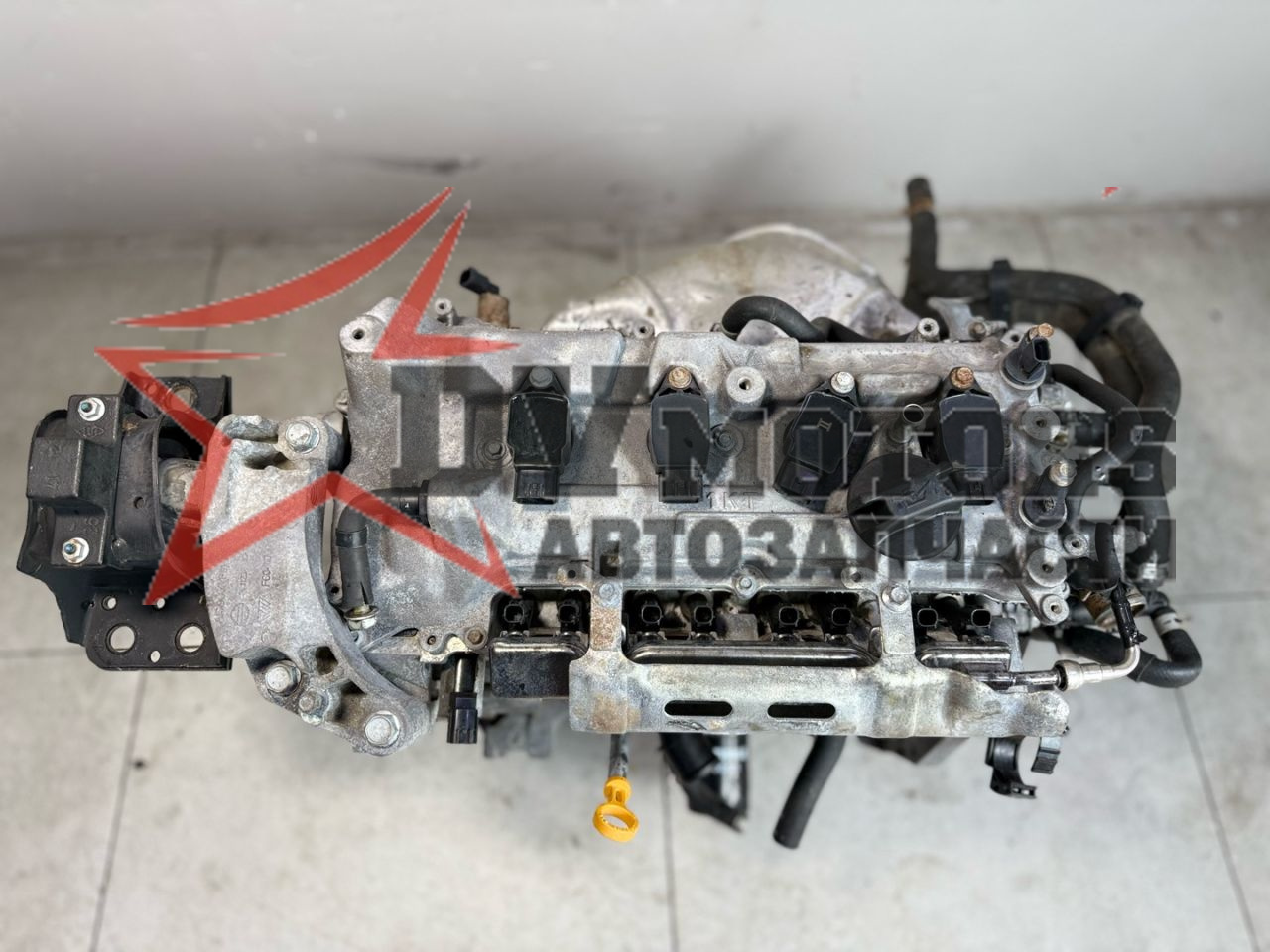 Фото DV Motors 25