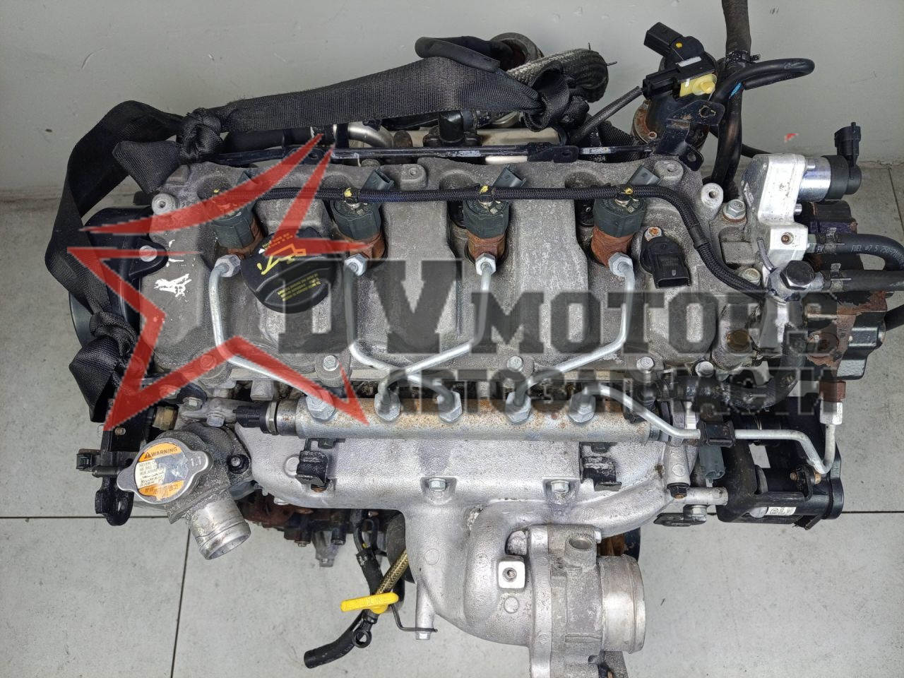 Фото DV Motors 21