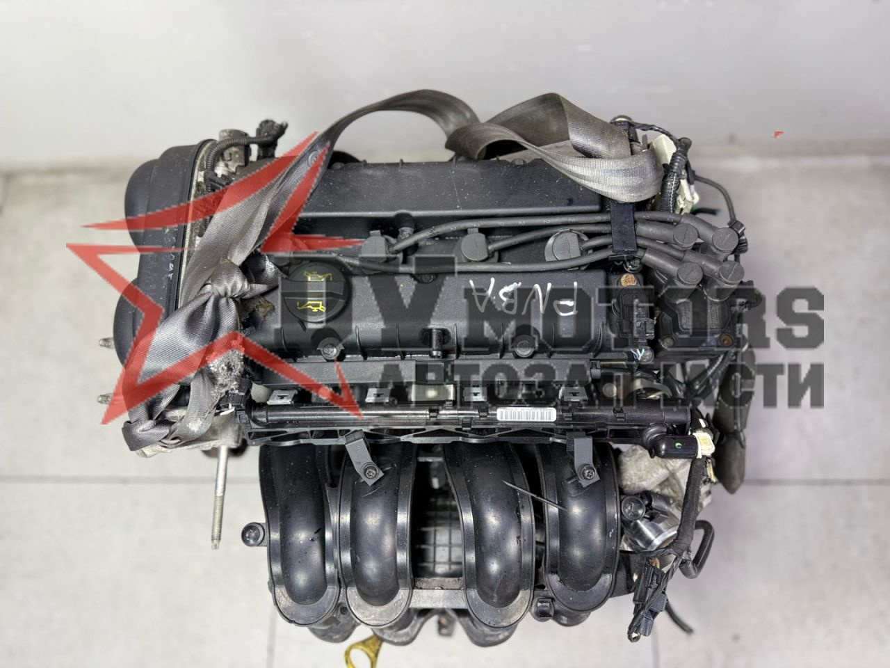Фото DV Motors 2