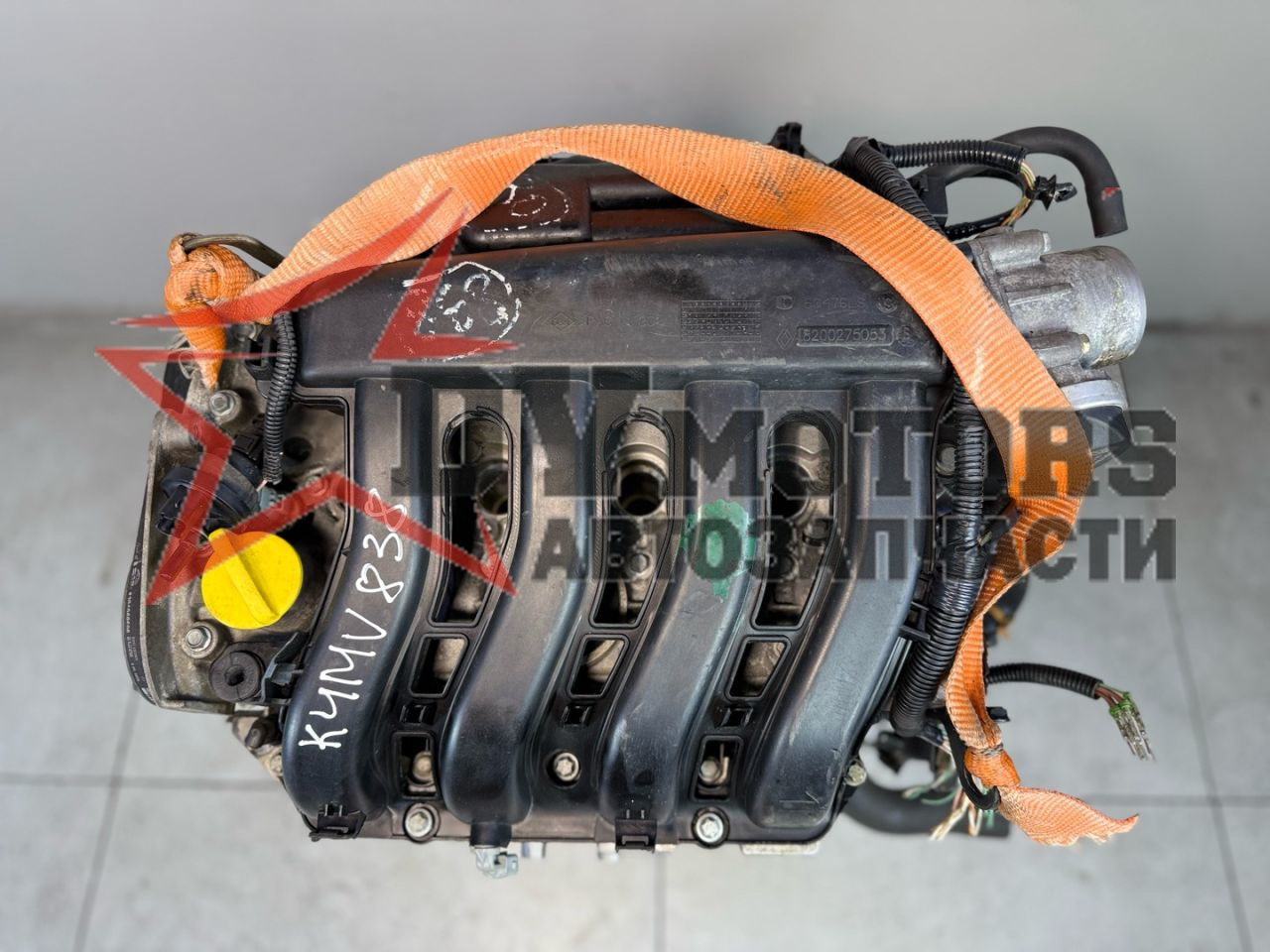 Фото DV Motors 12