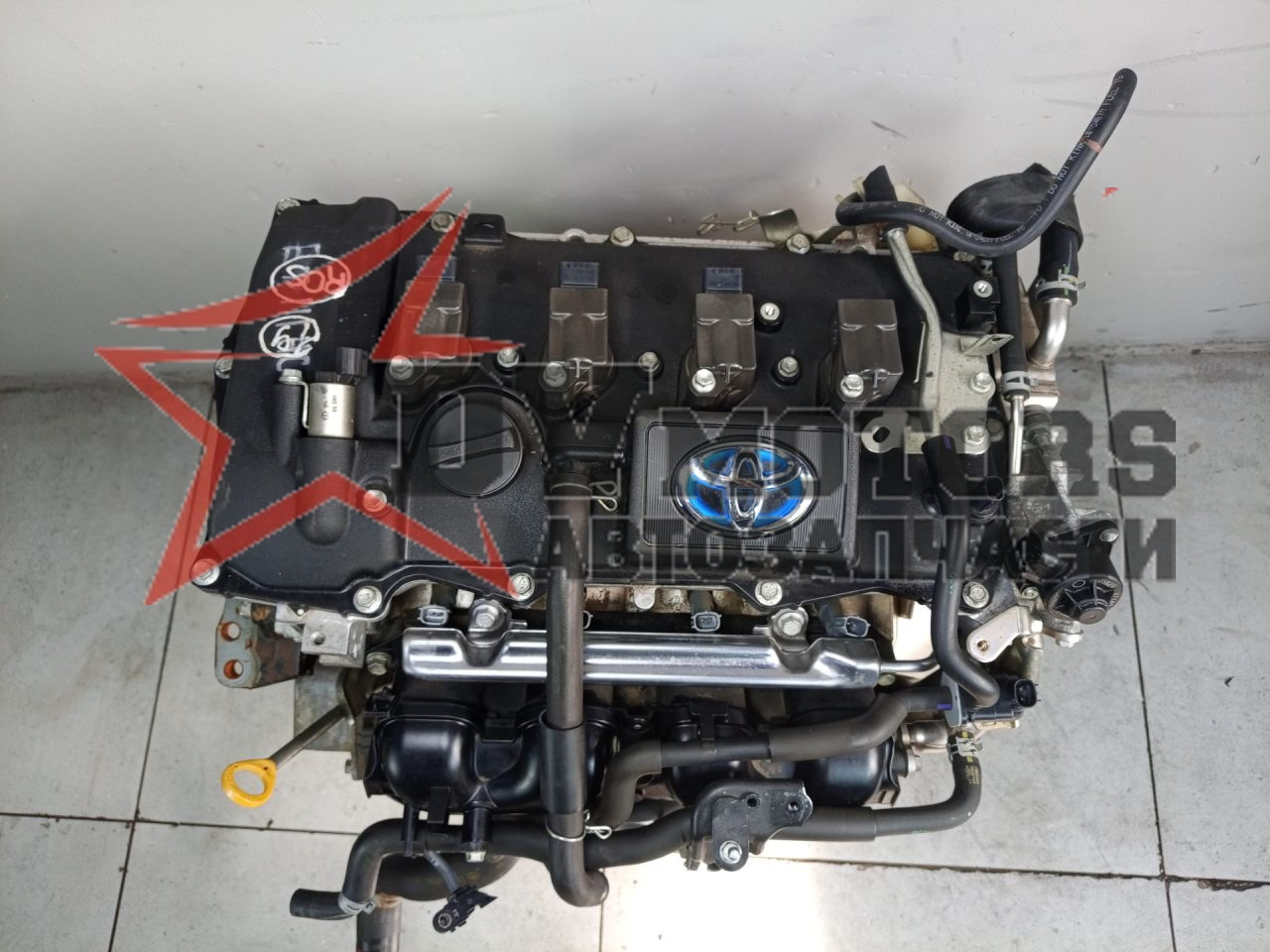 Фото DV Motors 3