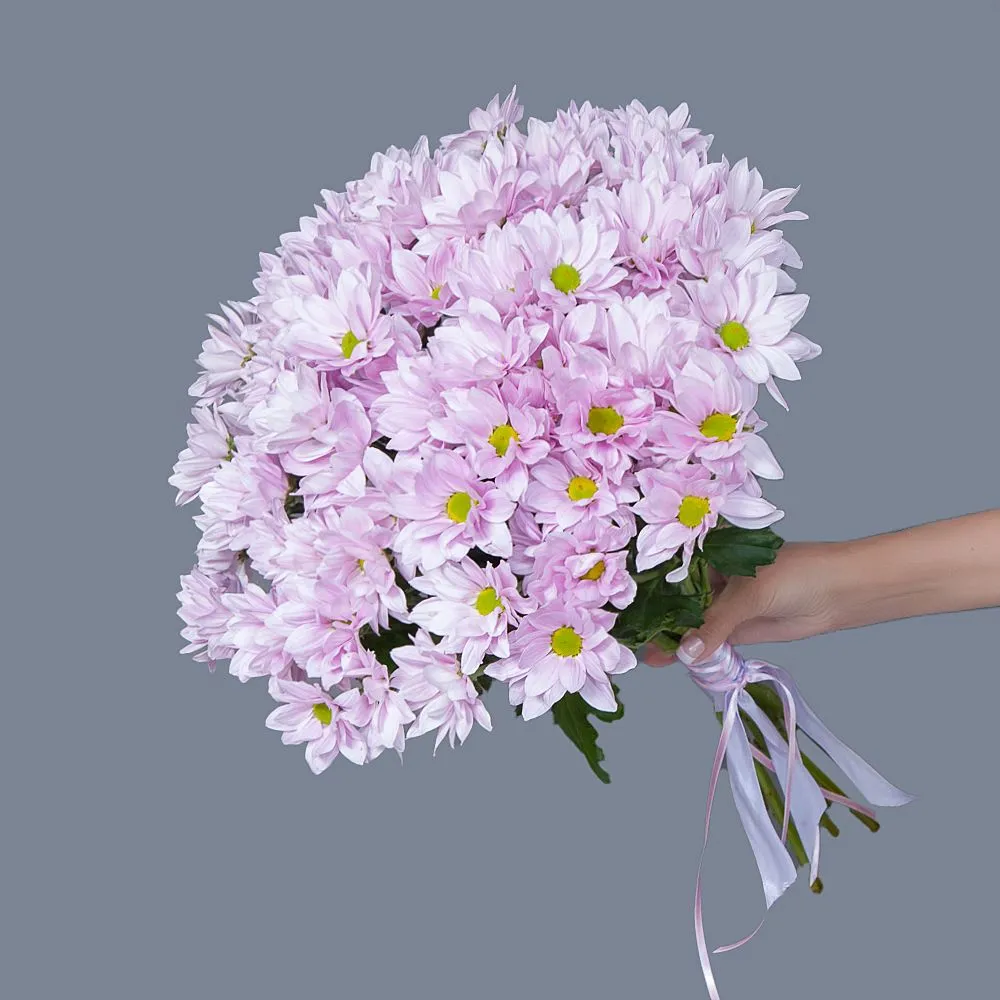 Монобукет из 9 розовых кустовых Хризантем