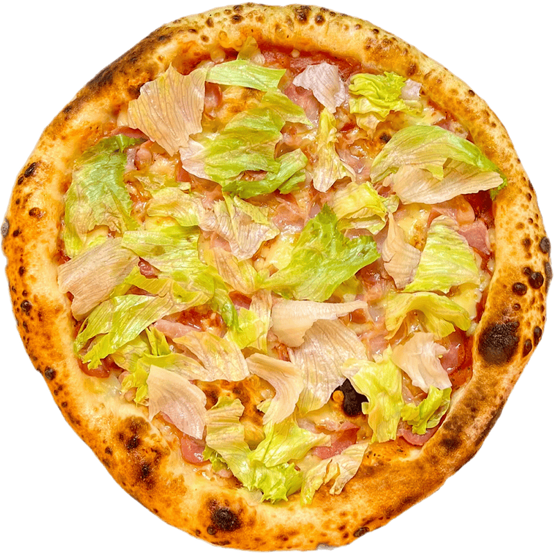 Фотогалерея - изображение 2