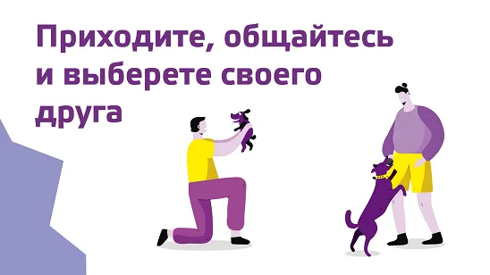 О проекте