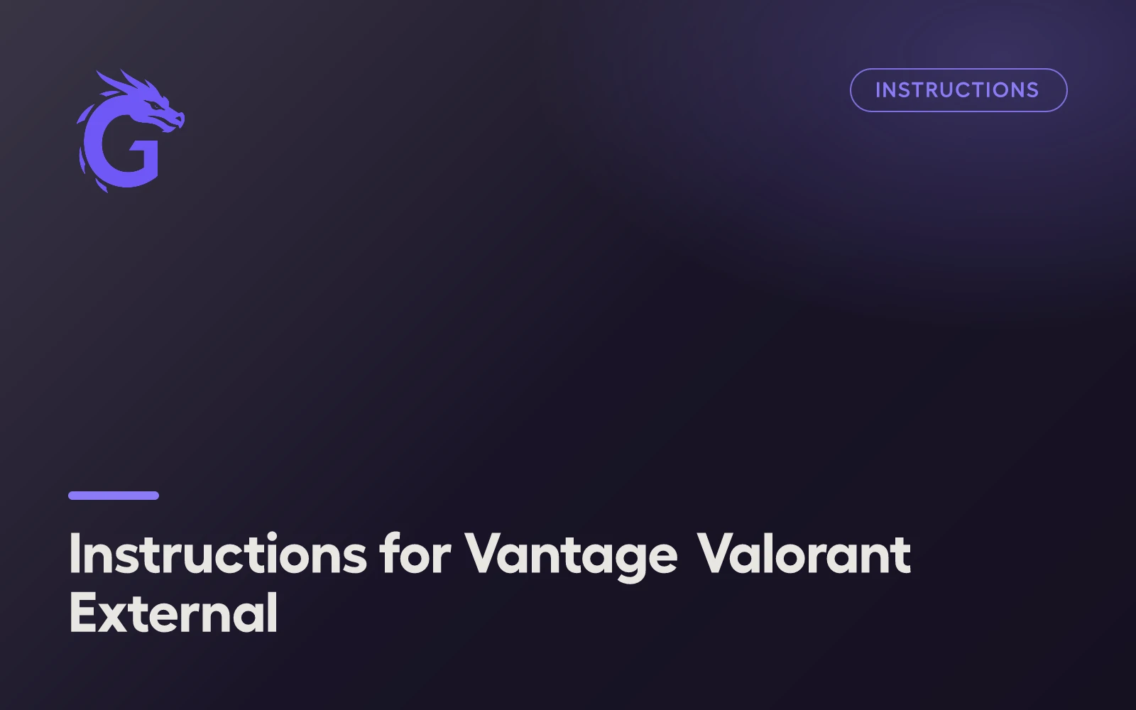 Instructions for Vantage Valorant External