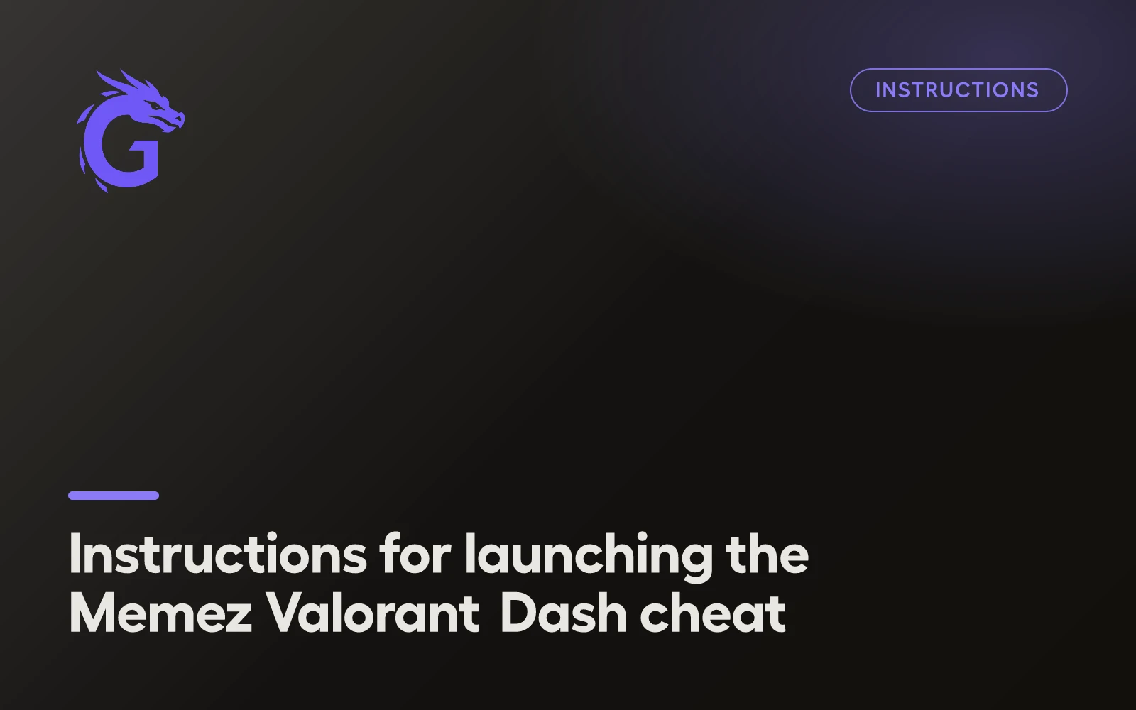 Instructions for launching the Memez Valorant Dash cheat