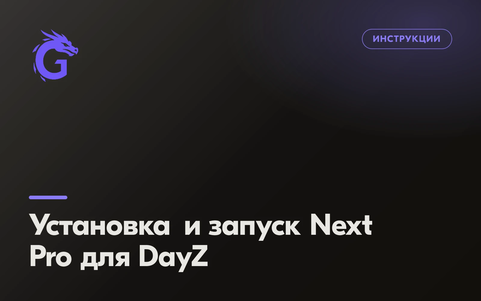 How to Install and Run Next Pro for DayZ