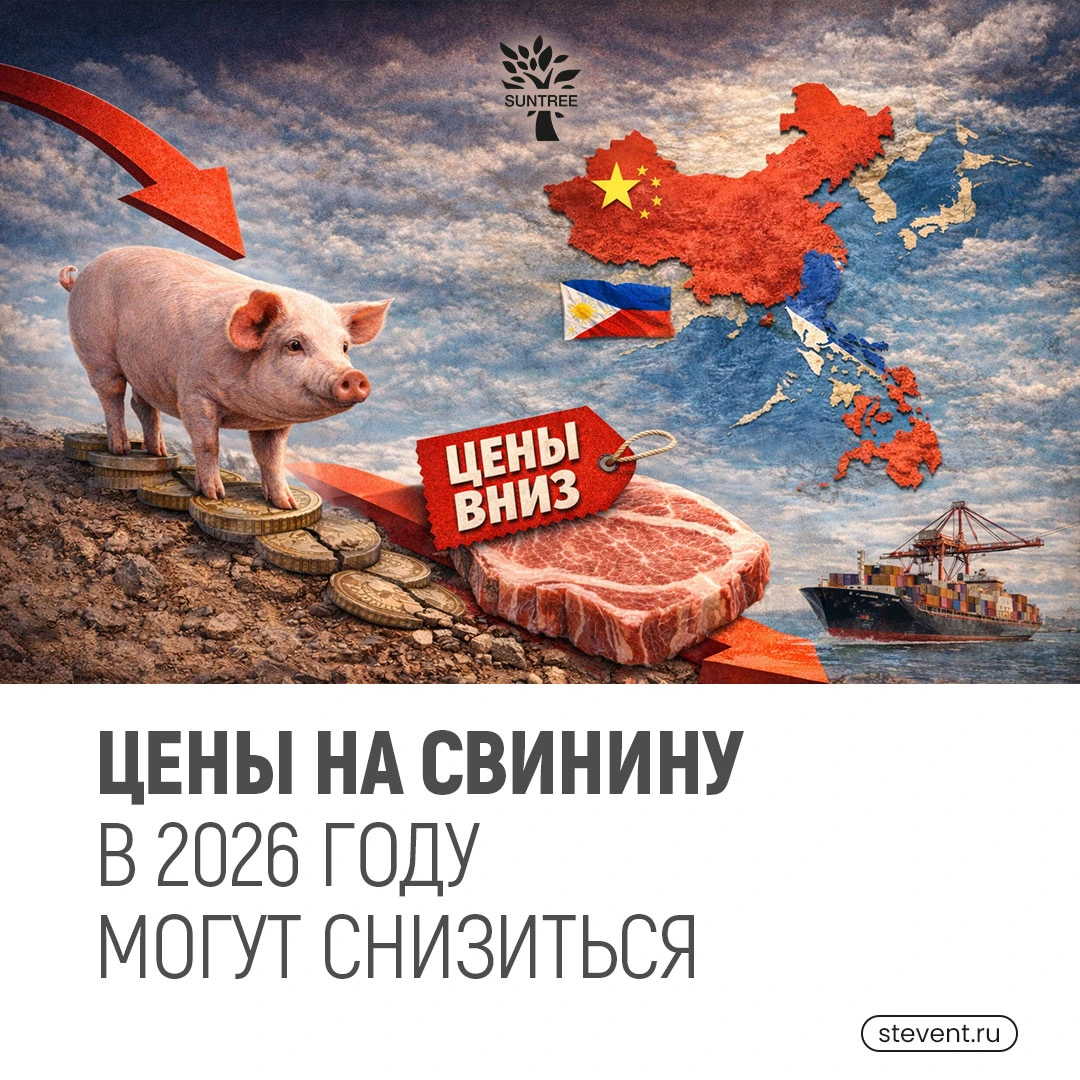 🐖Цены на свинину в 2026 году могут снизиться