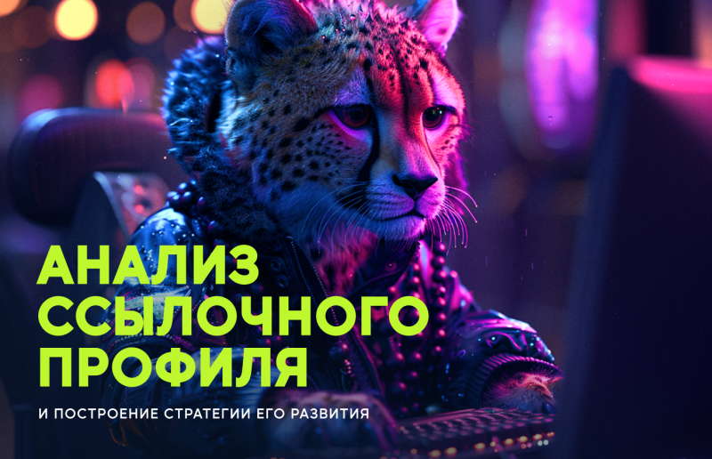 Анализ ссылочного профиля и построение стратегии его развития