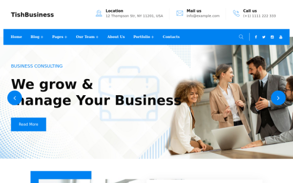 TishBusiness - корпоративная и деловая тема WordPress