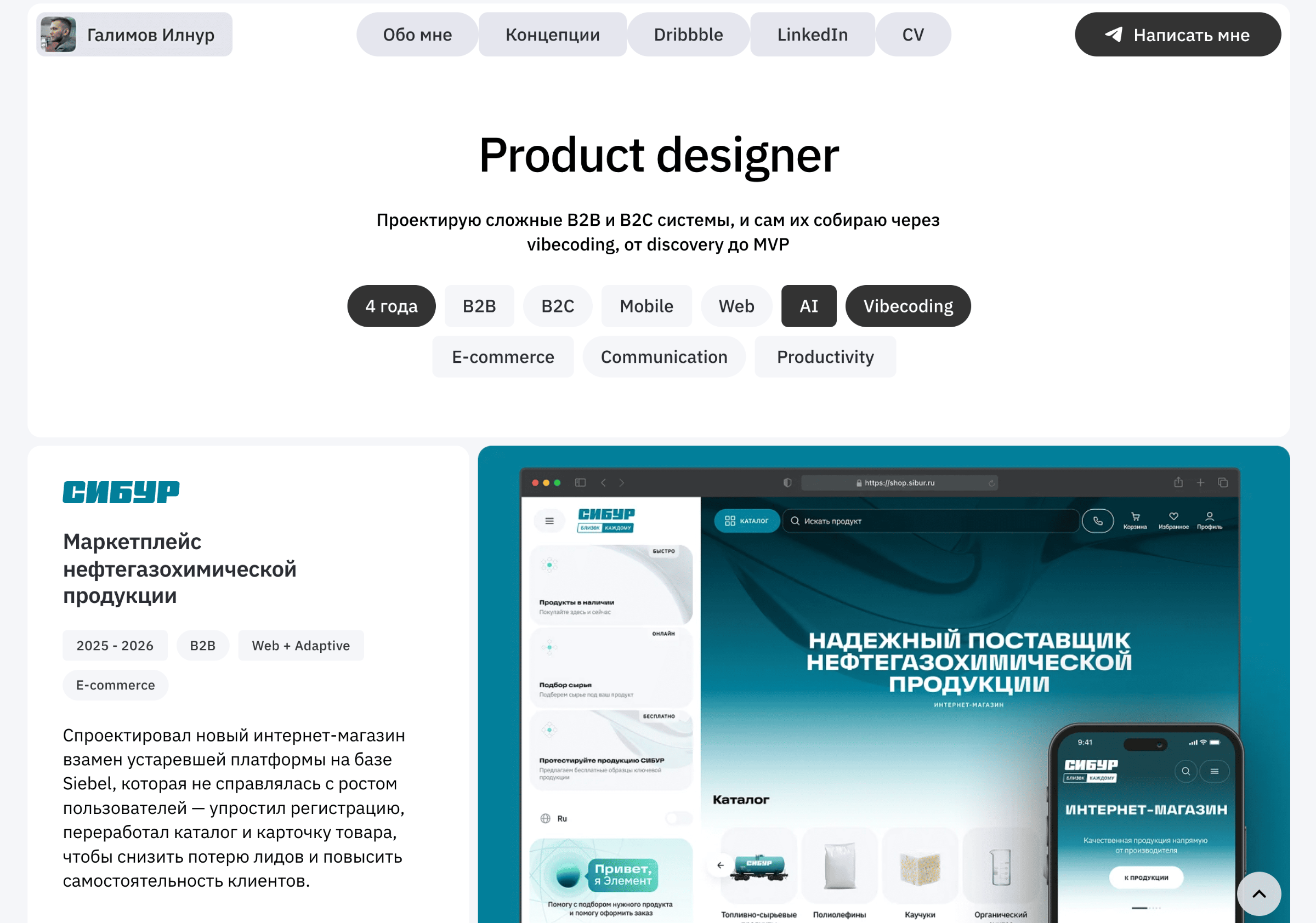 Ilnur Galimov portfolio preview
