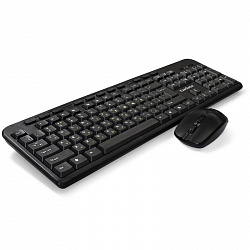 Набор клавиатура+мышь ExeGate Professional Combo MK240 черный(EX286220RUS)