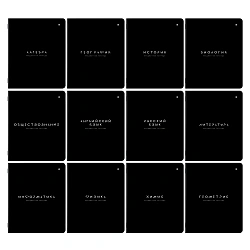 Тетради предметные, КОМПЛЕКТ 12 ПРЕДМЕТОВ 48 л., пластиковая обложка, BRAUBERG "BLACK MODE", 405541