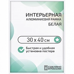 Рамка 300х400, белая, алюминевая.,  ПЭТ стекло, 2019_34_91_345