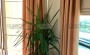 villa-s-basseinom-sadom-i-krytym-parkingom-v-kargydzhake-4-1-300m2 в Турции - фото 2