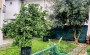 taunkhaus-s-vidom-na-more-v-raione-kargydzhak-3-1-202m2 в Турции - фото 2