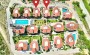 villa-3-1-obshei-ploshadyu-280-m2-v-zhivopisnom-raione-kagydzhak в Турции - фото 2