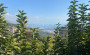 villa-v-prestiznom-raione-tepe-podxodit-dlya-poluceniya-grazdanstva в Турции - фото 2