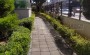 dvukhkomnatnye-apartamenty-v-raione-oba в Турции - фото 2