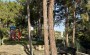 dvukhurovnevaya-villa-3-1-s-panoramnym-vidom в Турции - фото 2