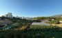 meblirovannaya-kvartira-1-1-v-tosmure-s-vidom-na-reku-i-bananovye-plantacii в Турции - фото 2