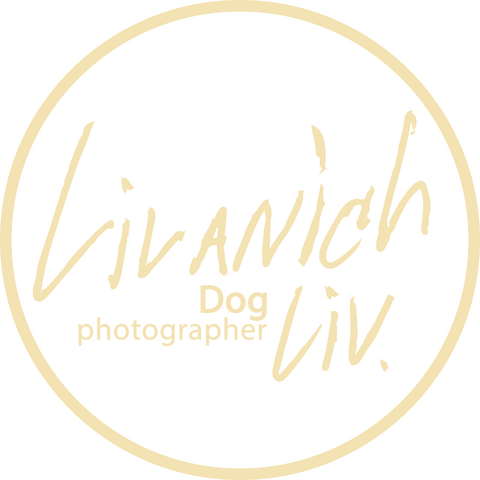 Логотип Livanich LIV