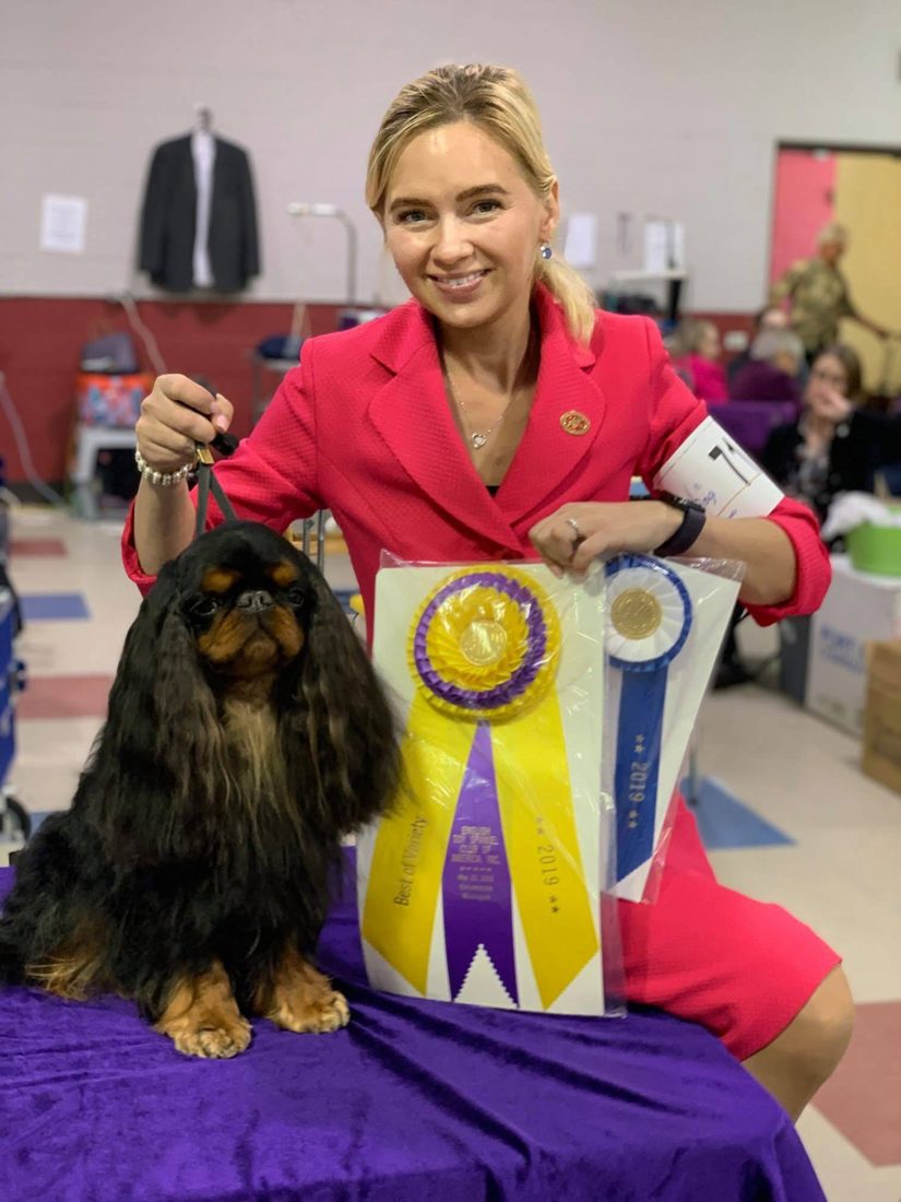 Марина Быстрова с английским той-спаниелем и розетками Best in Variety на выставке