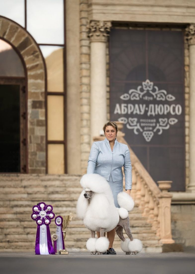 Марина Ковтуненко и большой пудель EMEREI HUGO BOSS с розеткой и кубком в Абрау-Дюрсо