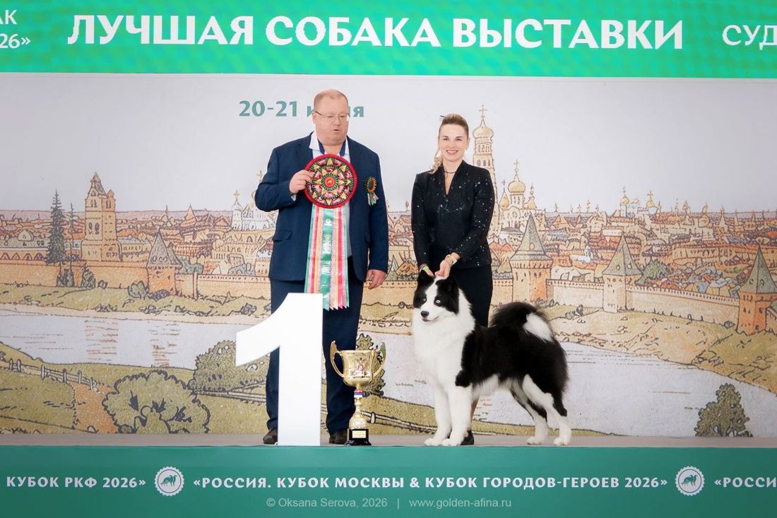 Черный Алмаз Ракета — BIS на выставке «Слава России 2026» в Москве