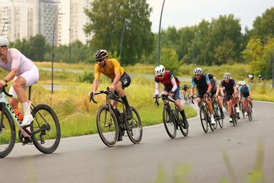 Olympia by Cyclingrace — разделка – кадр 3