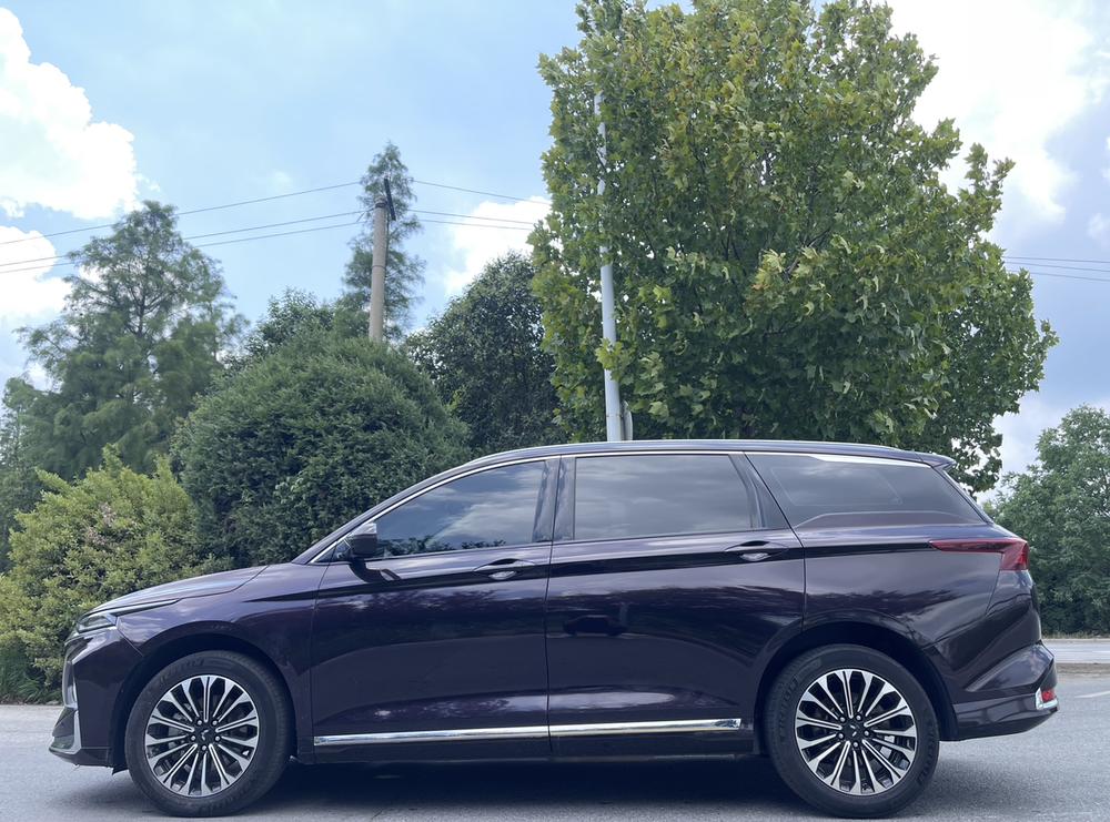 Capgemini Victory 2023 модель 2.0L DHT роскошная комплектация - фото 4