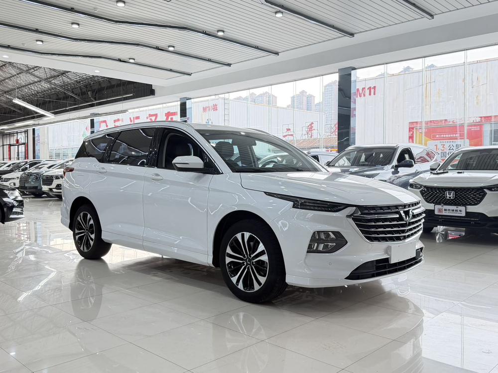Capgemini Victory 2022 модель 1.5T CVT флагманская версия - фото 3