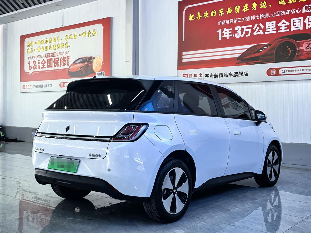 Yunduo 2023 460 Plus, специальная версия для коммерческой эксплуатации - фото 4
