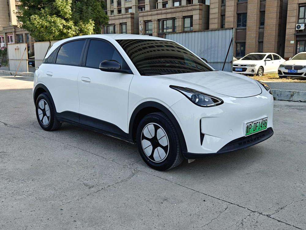 Xingyuan 2025, 310 км, молодёжная версия - фото 3