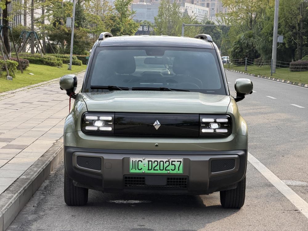 Yueye Plus 2026 модель 301 км флагманская версия - фото 2