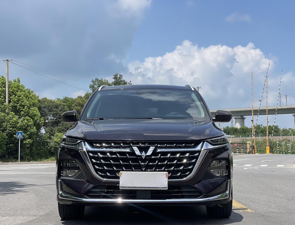 Capgemini Victory 2023 модель 2.0L DHT роскошная комплектация - фото 2