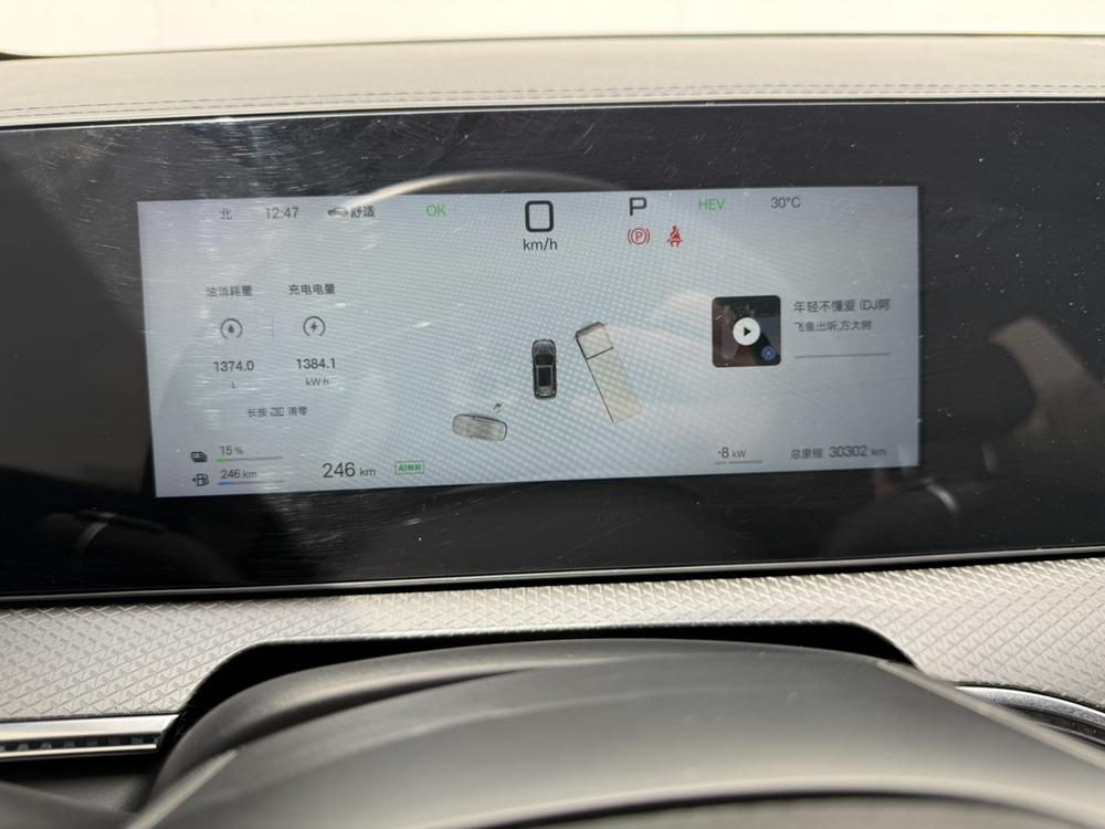BYD Song Pro DM 2025 - фото 14