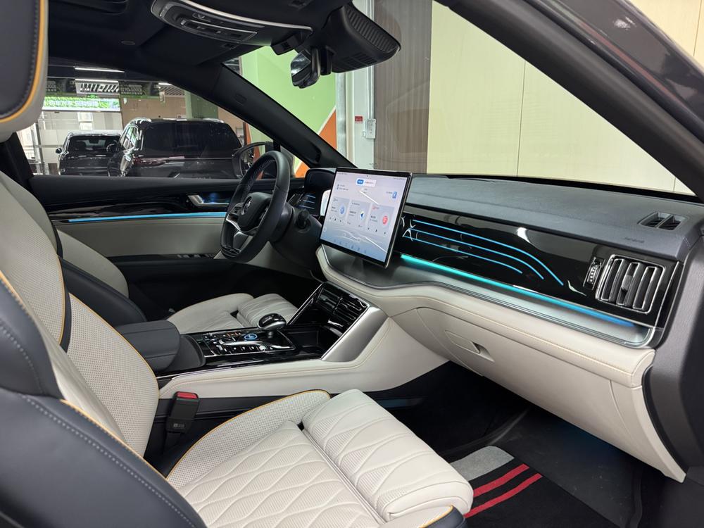 Tang DM 2022 модельного года DM-p 215KM полноприводная версия Premium - фото 15