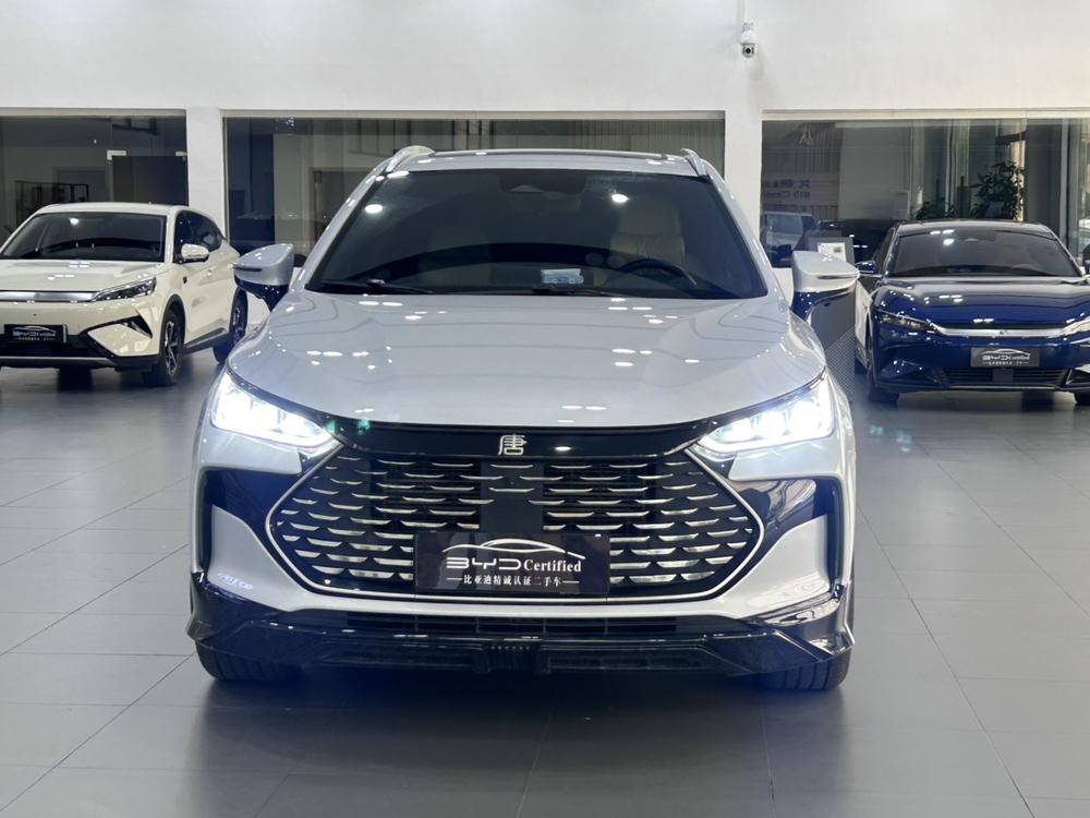 Tang DM 2023 модельного года, DM-p, версия Champion, 215KM, полноприводная флагманская комплектация - фото 2